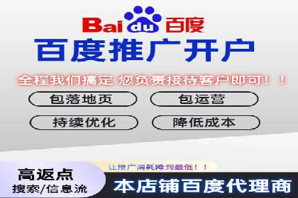 知名SEM运营公司实战案例解析